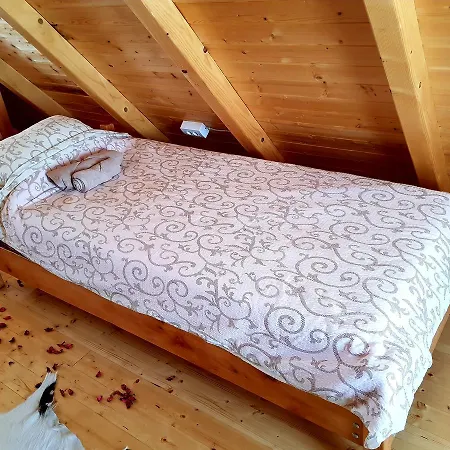 Ljubiska Previja * Ljubis