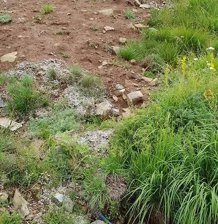 Casa vacanze Ljubiska Previja *