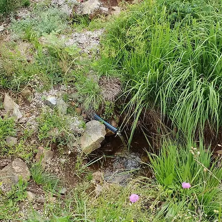 Ljubiska Previja Casa vacanze *