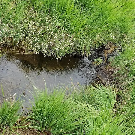 Casa vacanze Ljubiska Previja