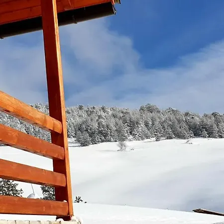 Ljubiska Previja Ljubis