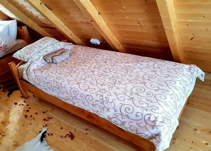 Ljubiska Previja * Ljubis