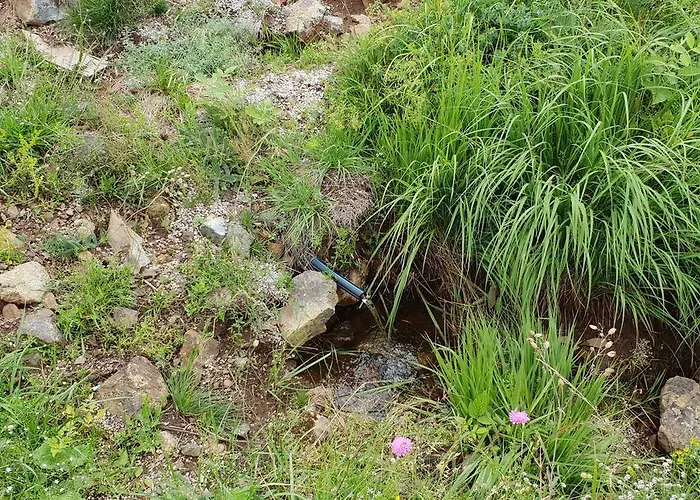 Ljubiska Previja Feriehus *