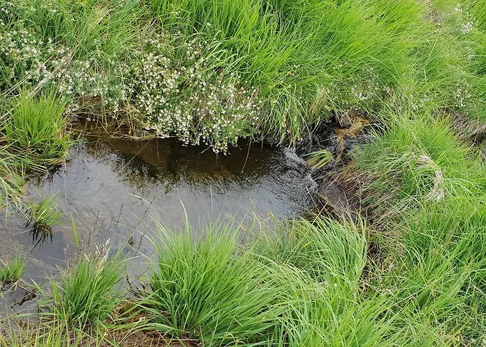 Feriehus Ljubiska Previja