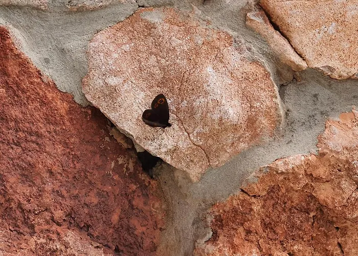 Feriehus Ljubiska Previja